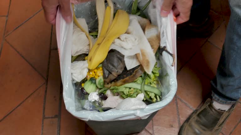 Best Construction Debris Removal  in South Vacherie, LA